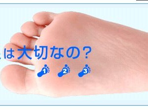 ハイトスポーツ
